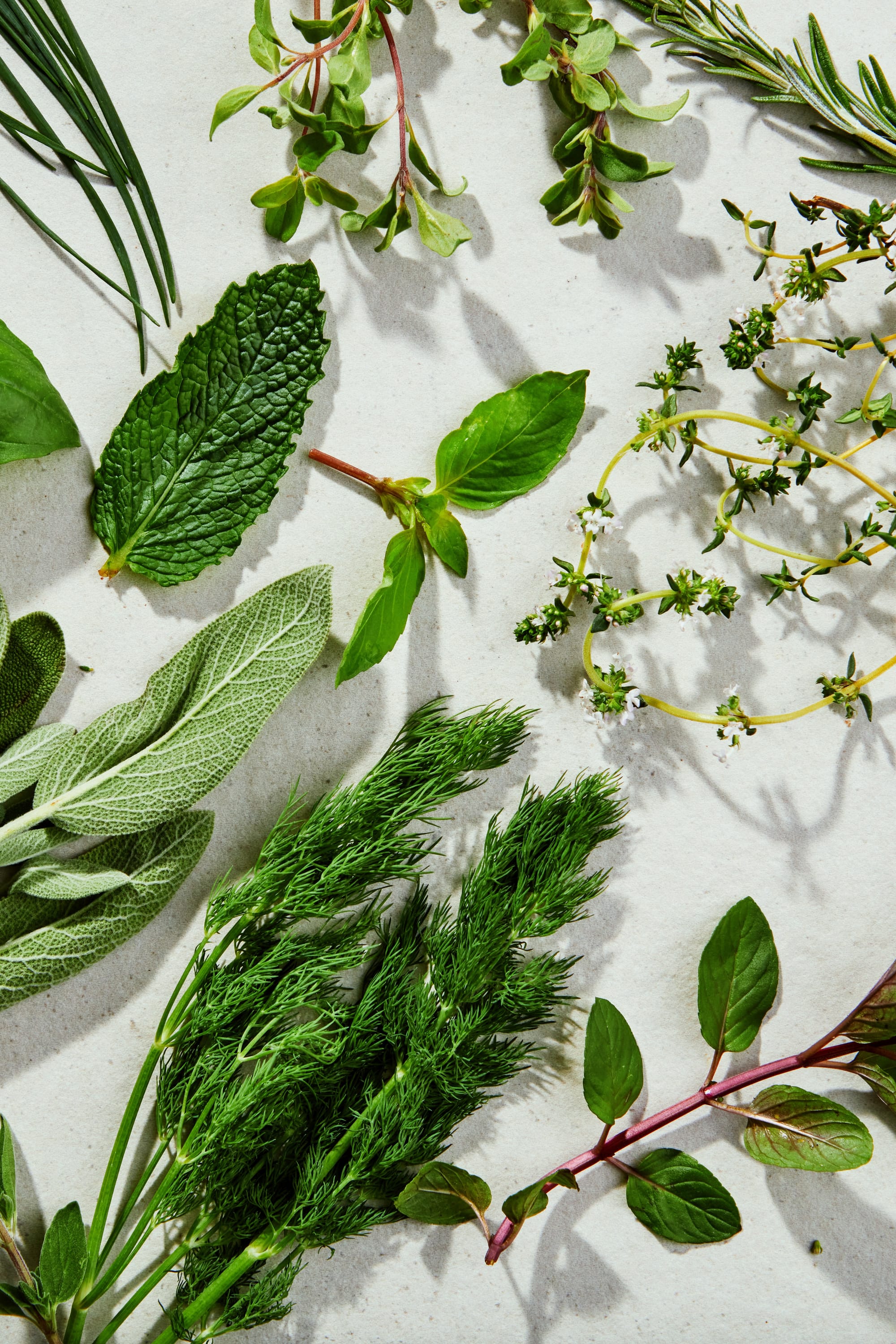 Herbs
