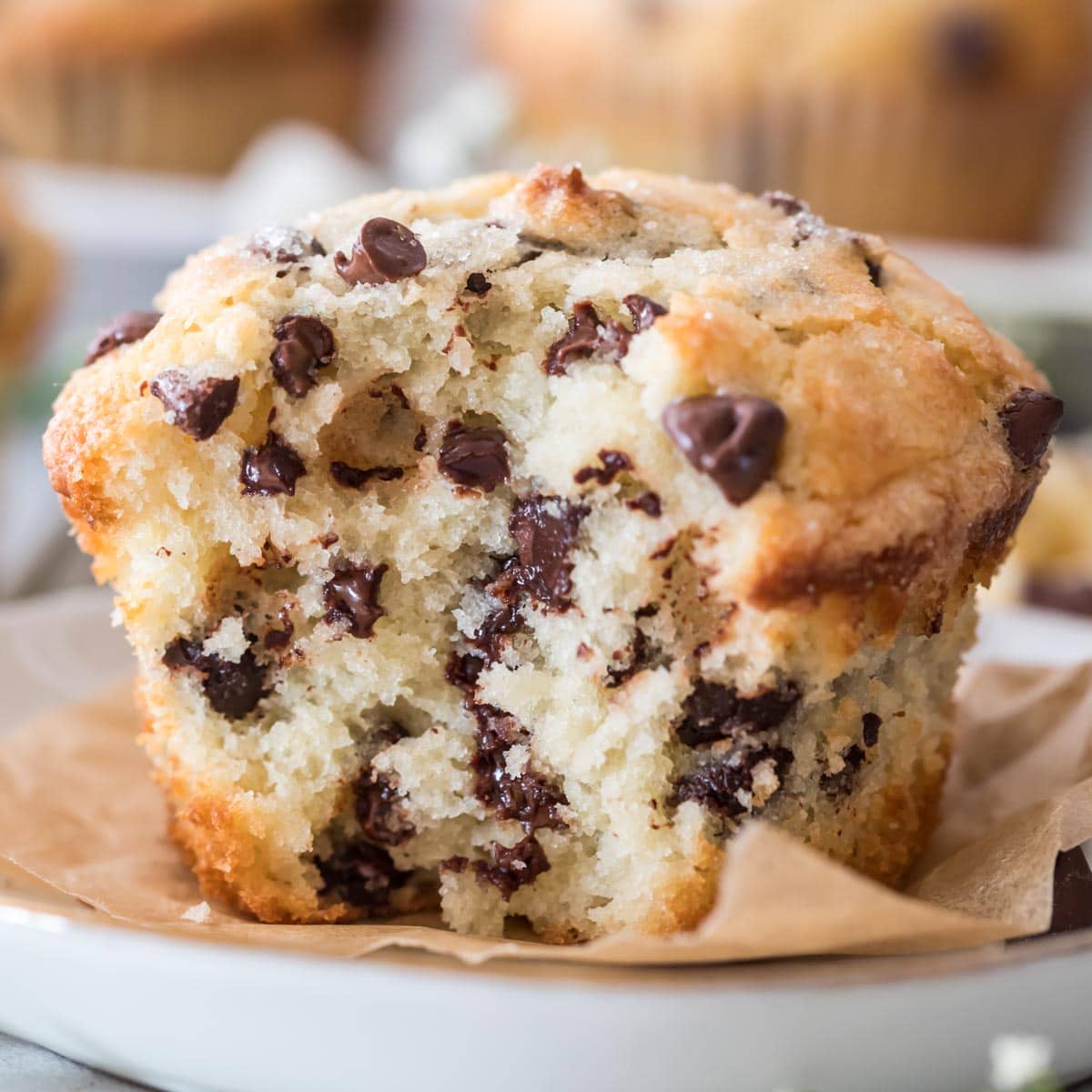 Chocolate Chip Muffins Recipe