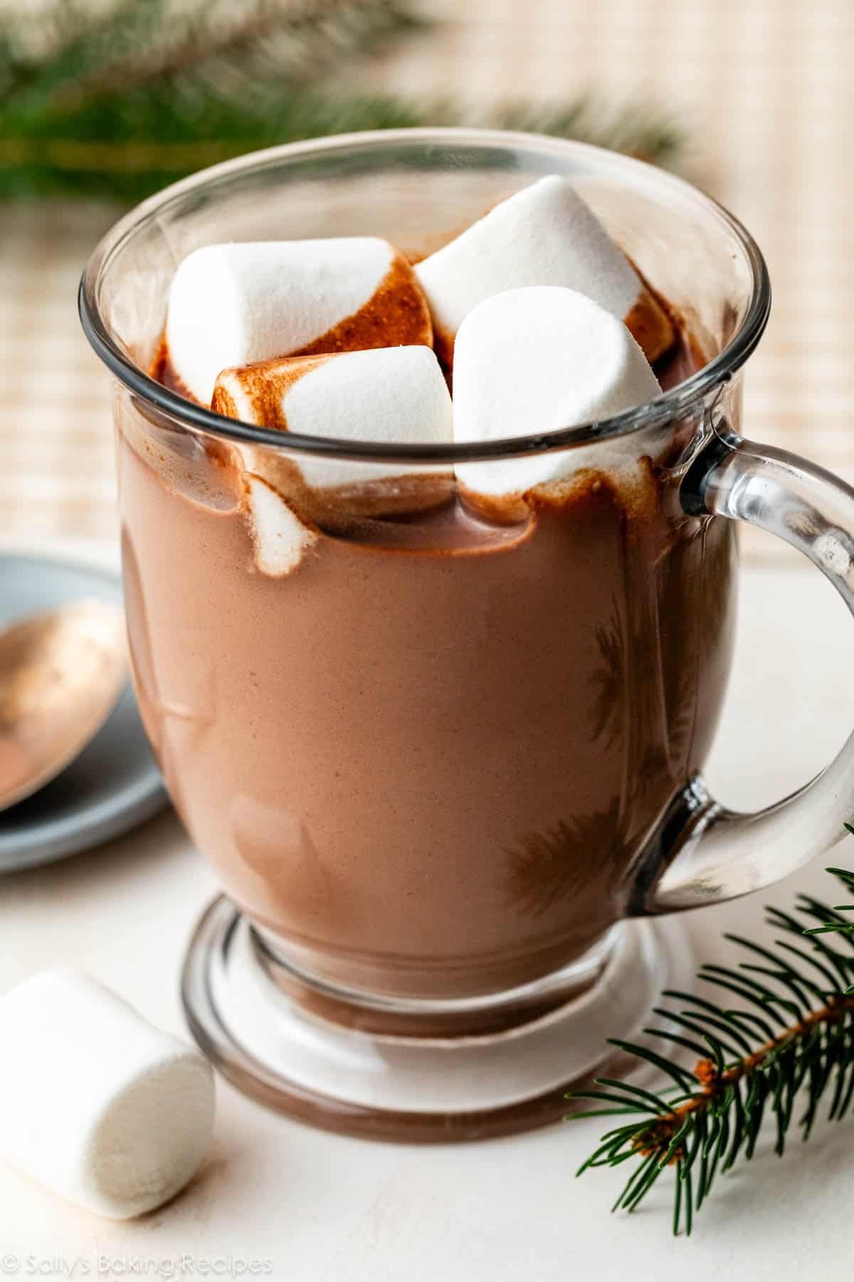 Hot Chocolate Recipe
