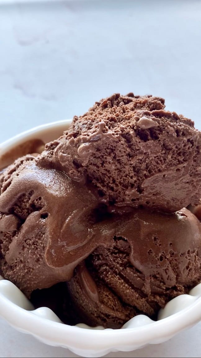 Vegan Chocolate Ice Cream Recipe