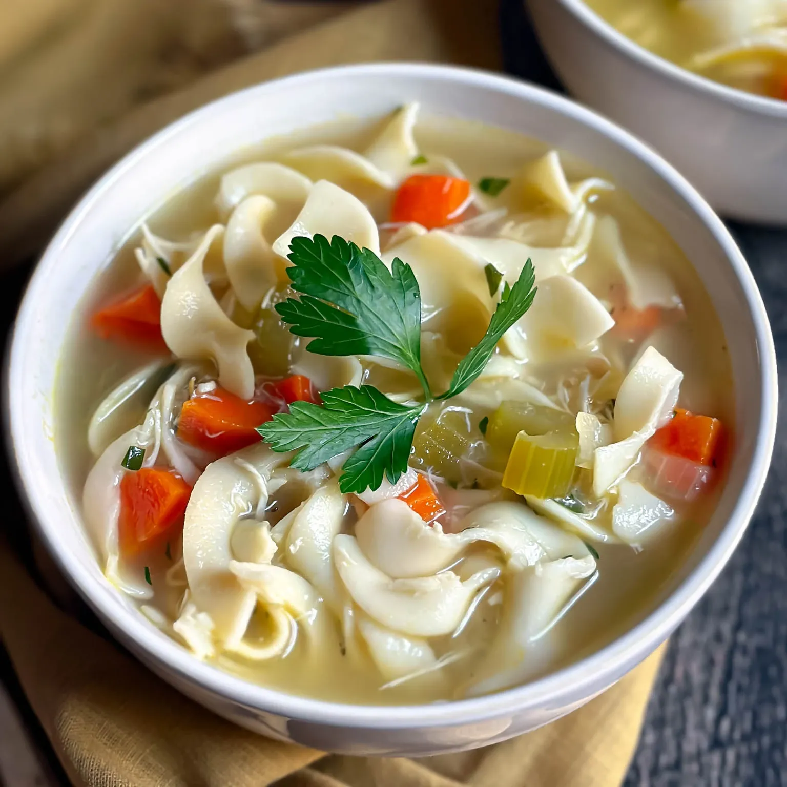 Chicken Noodle Soup Recipe