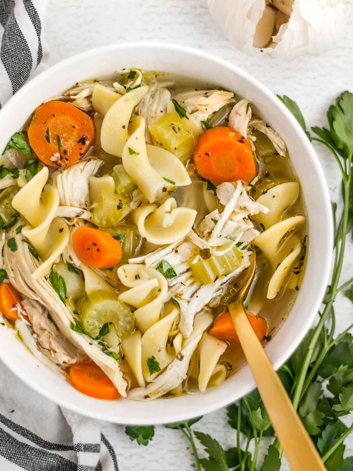 Chicken Noodle Soup Recipe