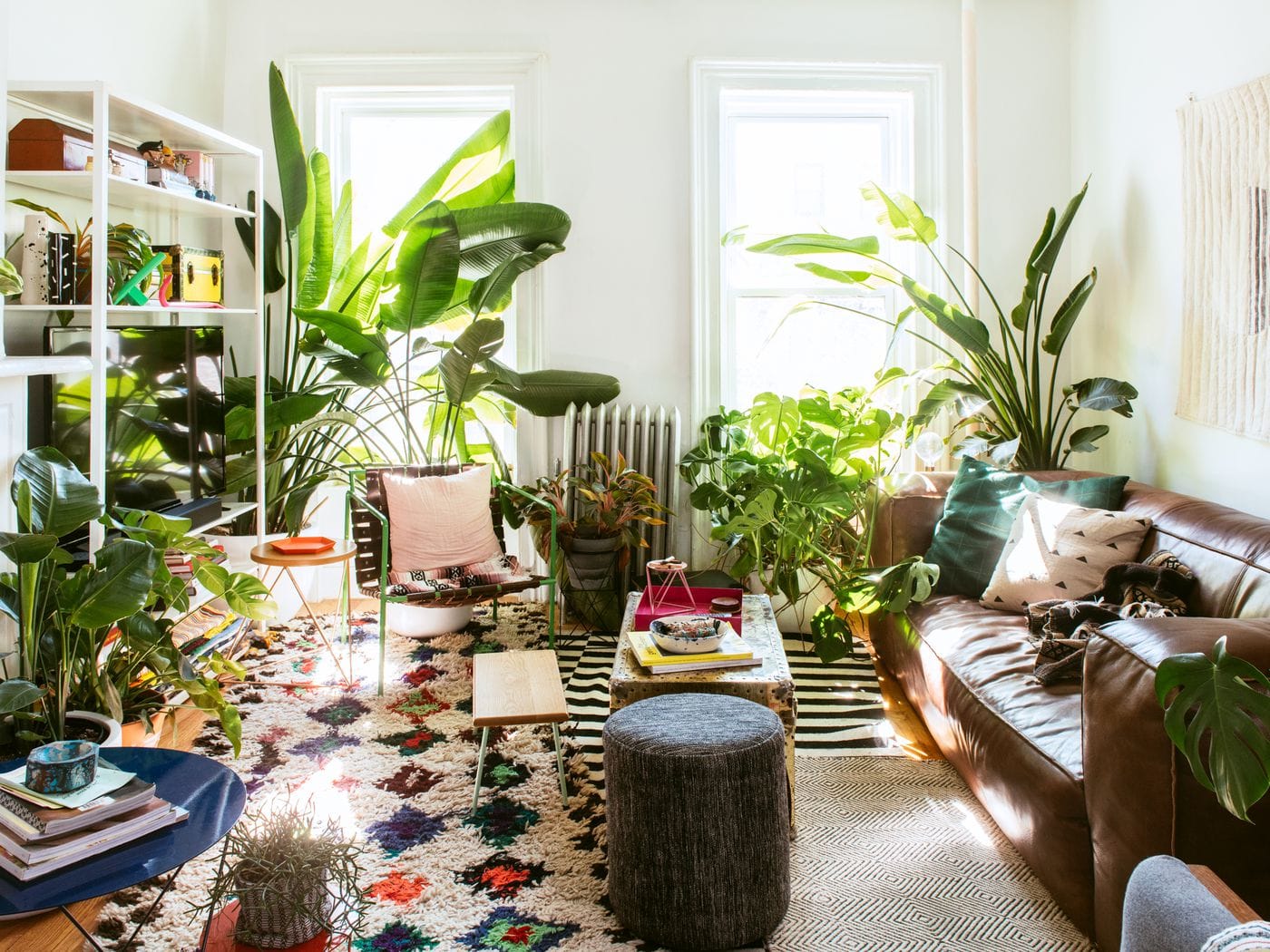 a small living room with plants and color