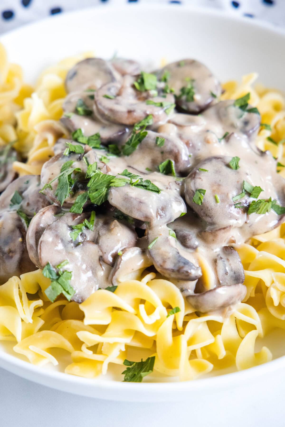 Mushroom Stroganoff Recipe