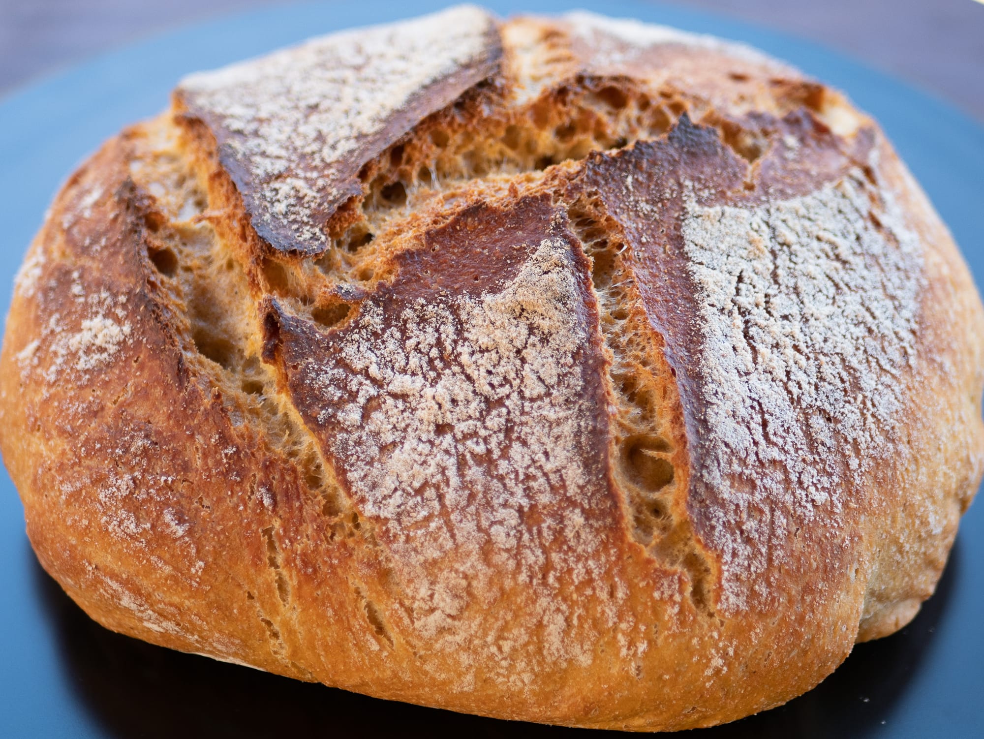 Whole Wheat Bread Recipe