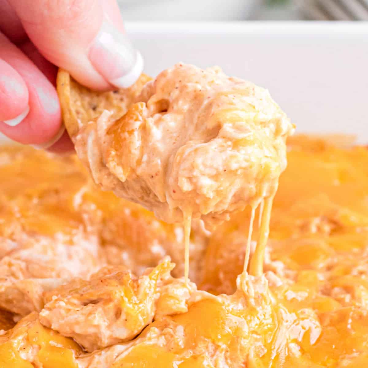 Buffalo Chicken Dip