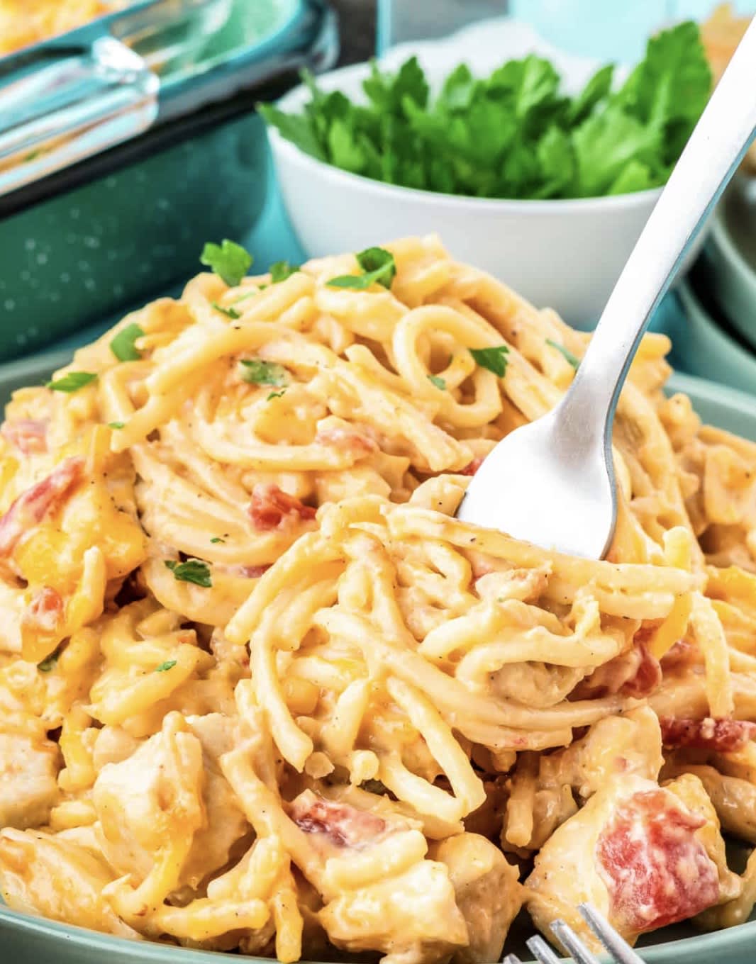 Chicken Spaghetti