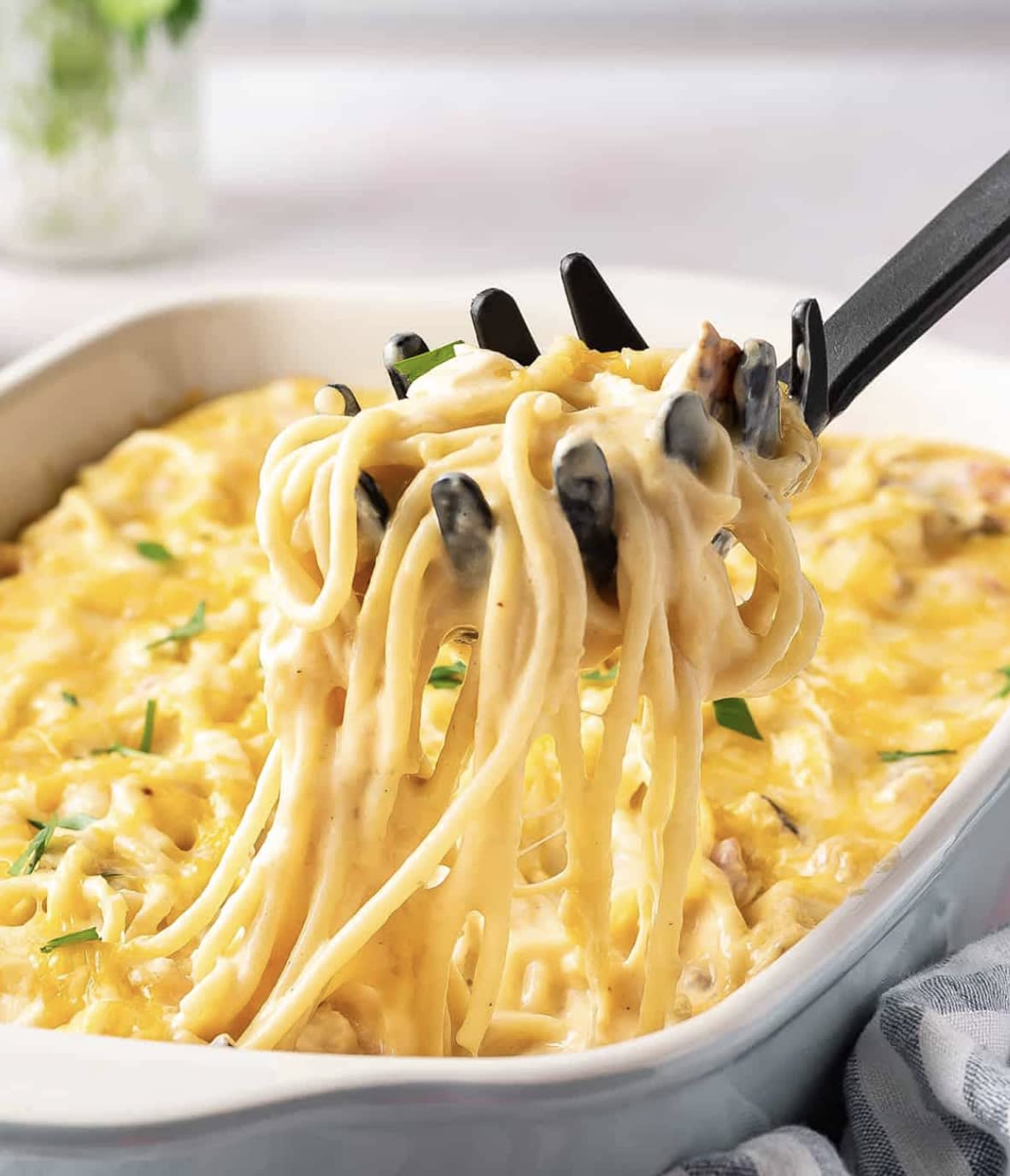 Chicken Spaghetti