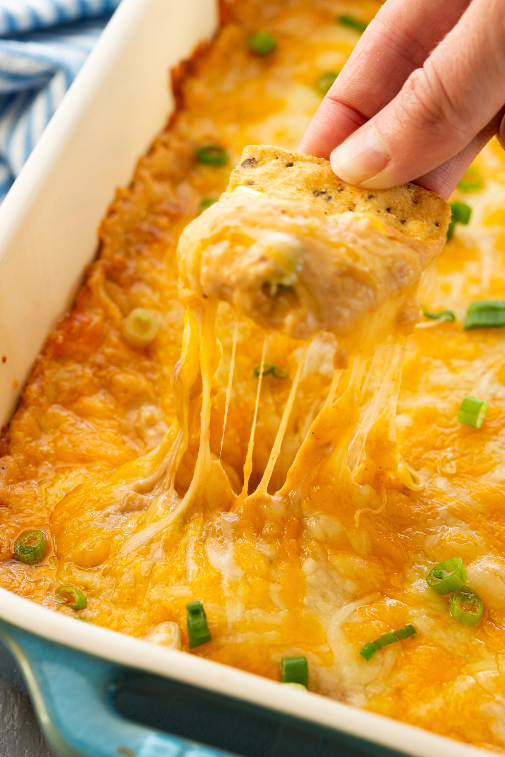Texas Trash Dip