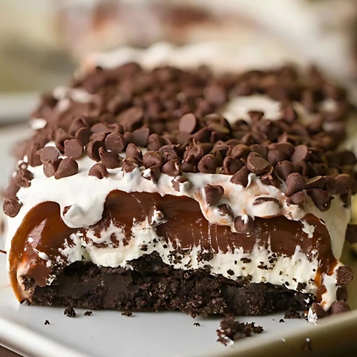 Chocolate Lasagna