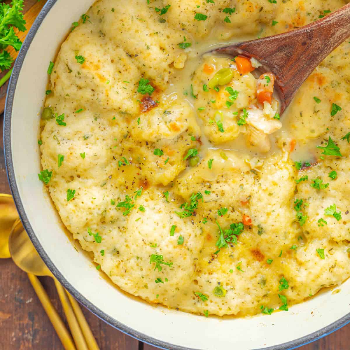 Chicken and Bisquick Dumplings