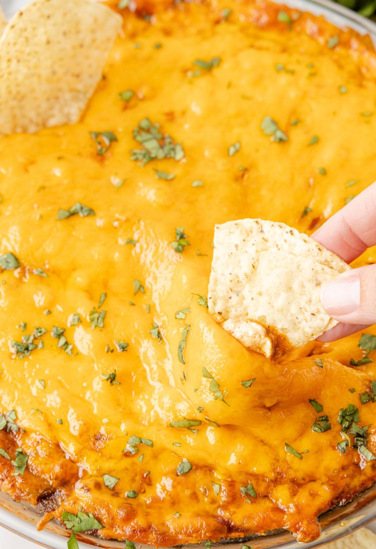 Texas Trash Dip