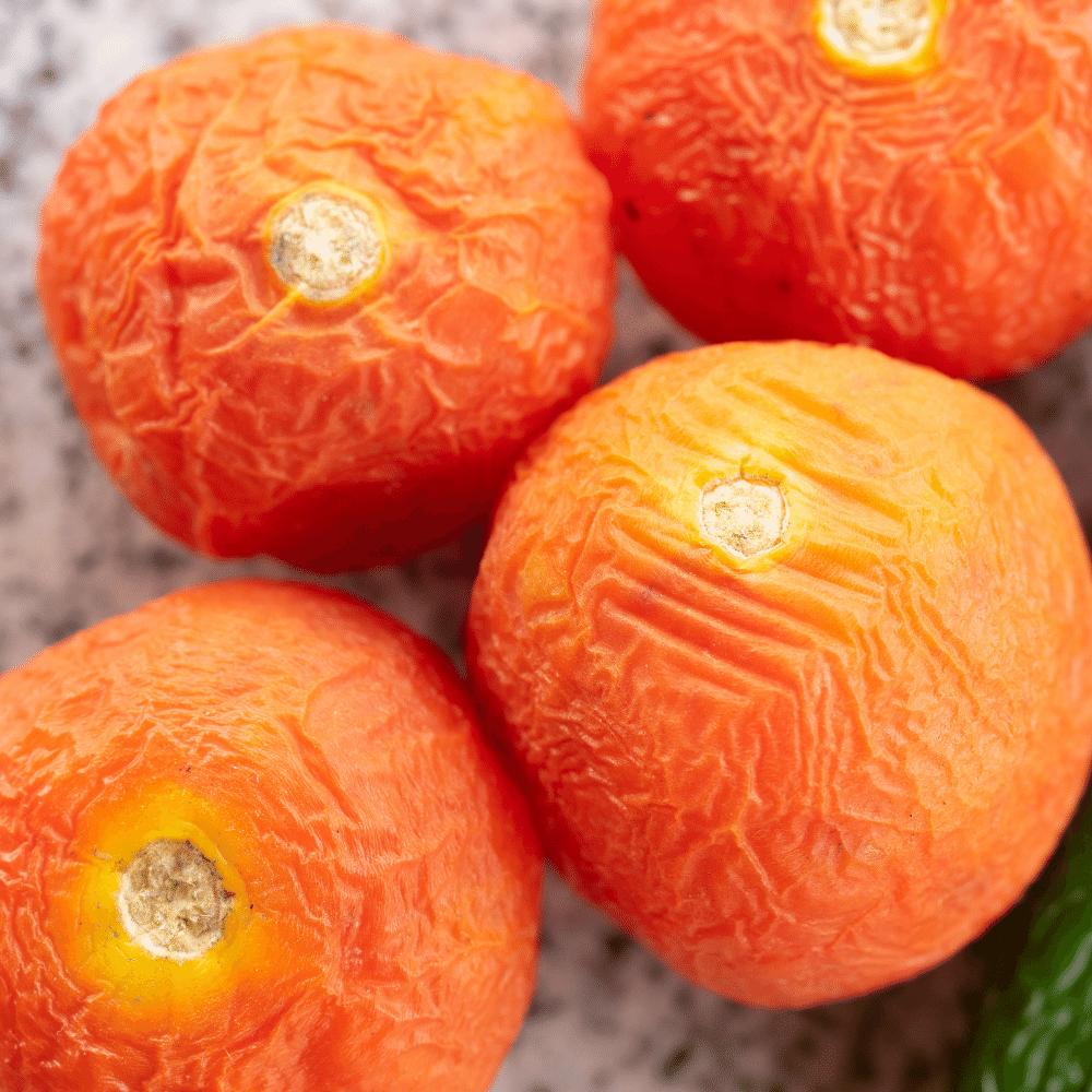 19 Easy Overripe Tomato Recipes