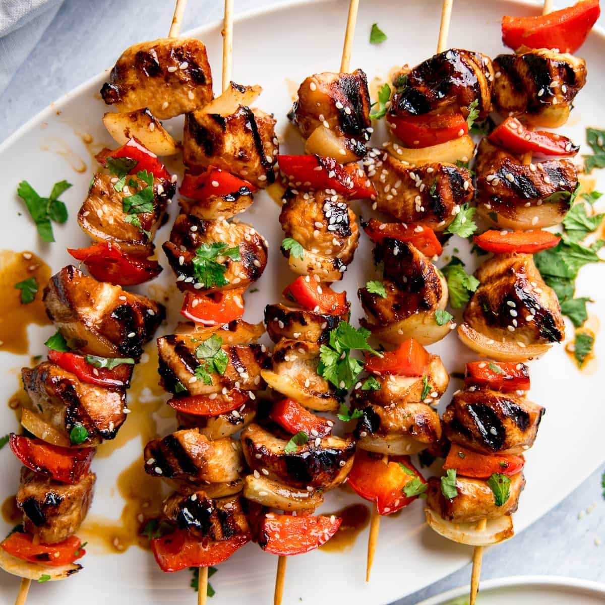 Honey Garlic Chicken Skewers