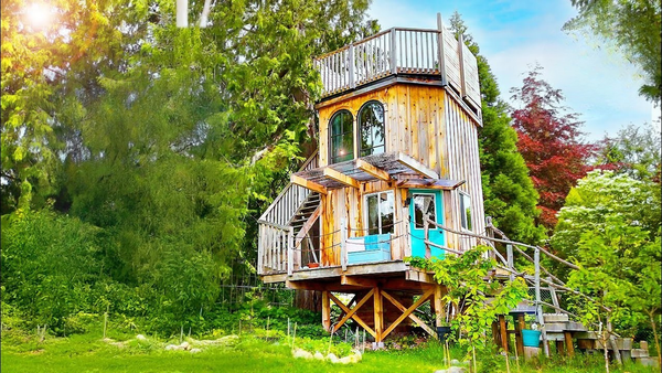 She Turns Two Fallen Cedars into a Sky-High Sanctuary