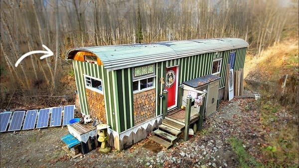 Retired Woman Built a 19th‑Century-Inspired Tiny Home and Lives Off-Grid With Bees, Goats, and Mini Horses