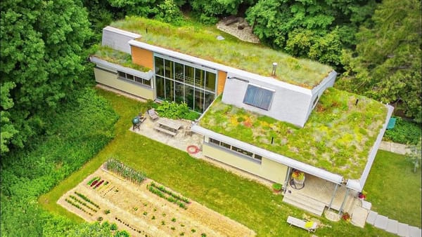 He Built a Straw Bale Homestead That Runs on Sun, Rain, and Firewood