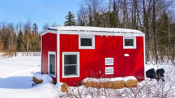 Lily Mae, the Tiny House That Fits Her Life